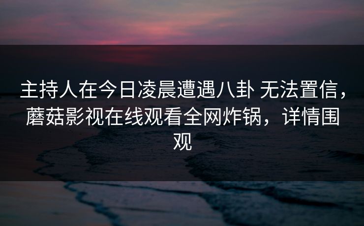 主持人在今日凌晨遭遇八卦 无法置信，蘑菇影视在线观看全网炸锅，详情围观