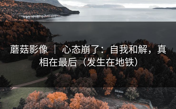 蘑菇影像 ｜ 心态崩了：自我和解，真相在最后（发生在地铁）